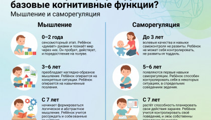 В каком возрасте формируются базовые когнитивные функции? Мышление и саморегуляция