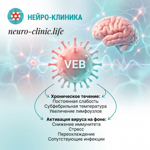Вирус Эпштейна-Барр