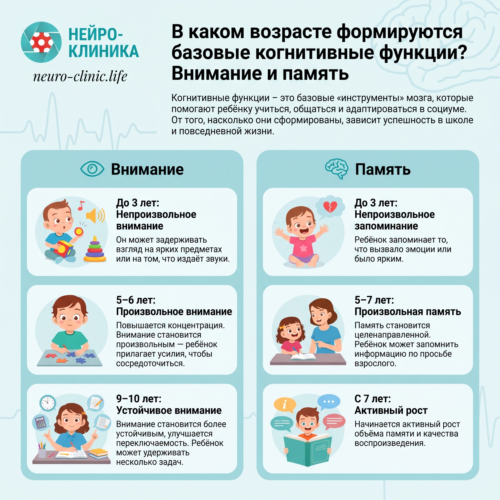 В каком возрасте формируются базовые когнитивные функции  Внимание и память