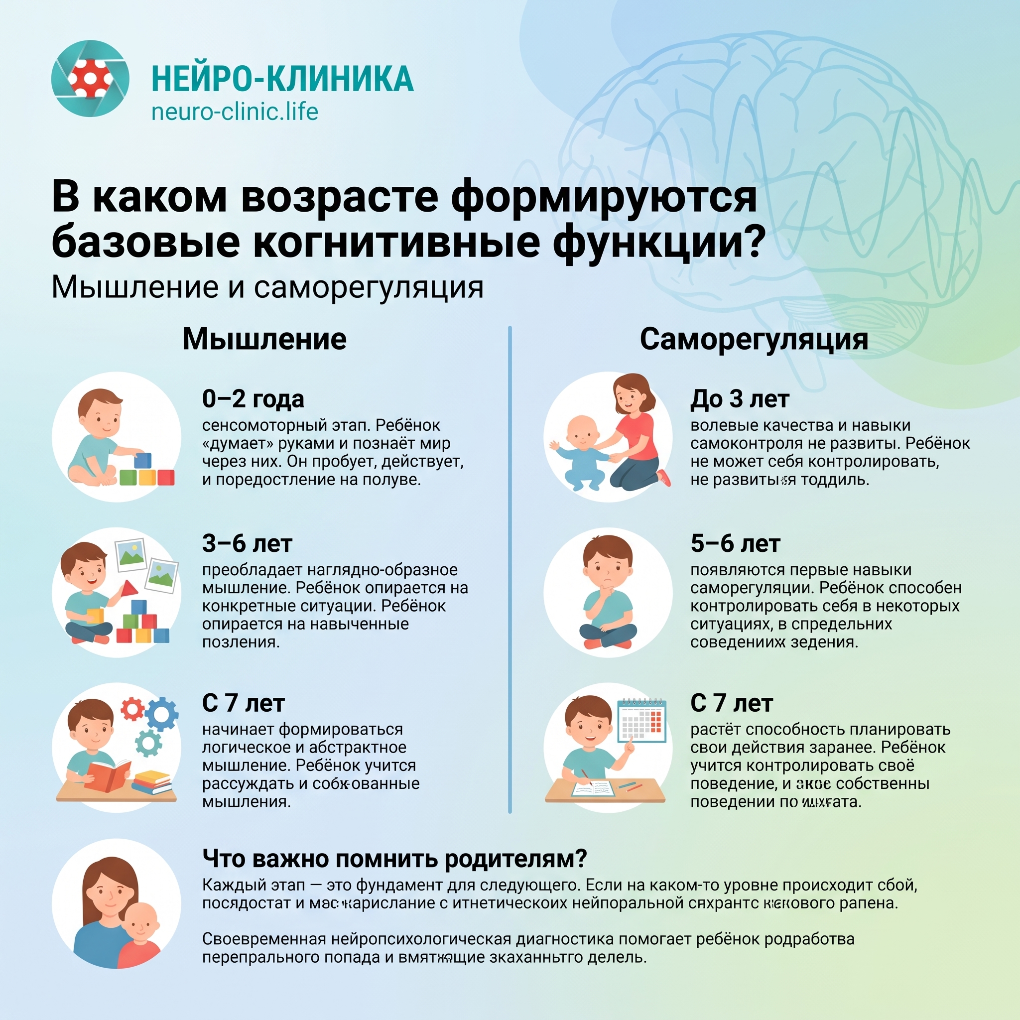 В каком возрасте формируются базовые когнитивные функции Мышление и саморегуляция